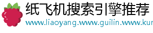 纸飞机搜索引擎推荐